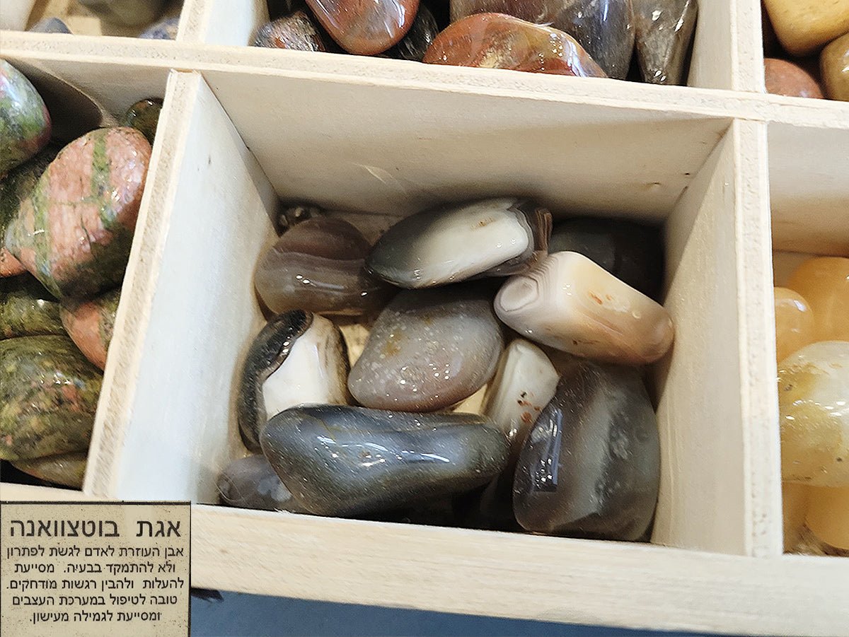 אוסף אבנים מקוריות - אנרגיה טבעית לחיים - אבני סגולות 1 ב - ₪20 | 3 ב - ₪49 - Baby Coupon