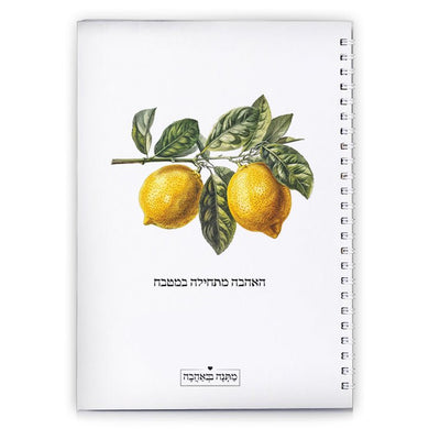 מארז בהרכבה עצמית - דגם לימונים - Baby Coupon