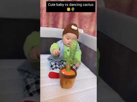 קקטוס מדבר ורוקד. חוזר אחרי מה שאומרים ומתנועונע בצורה מצחיקה במיוחד!