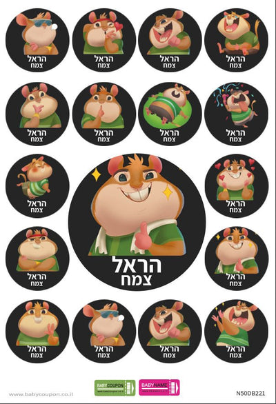 מדבקות גיהוץ עם שם אישי (17 מדבקות) - Baby Coupon