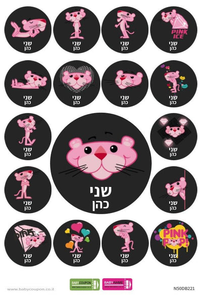 מדבקות גיהוץ עם שם אישי (17 מדבקות) - Baby Coupon