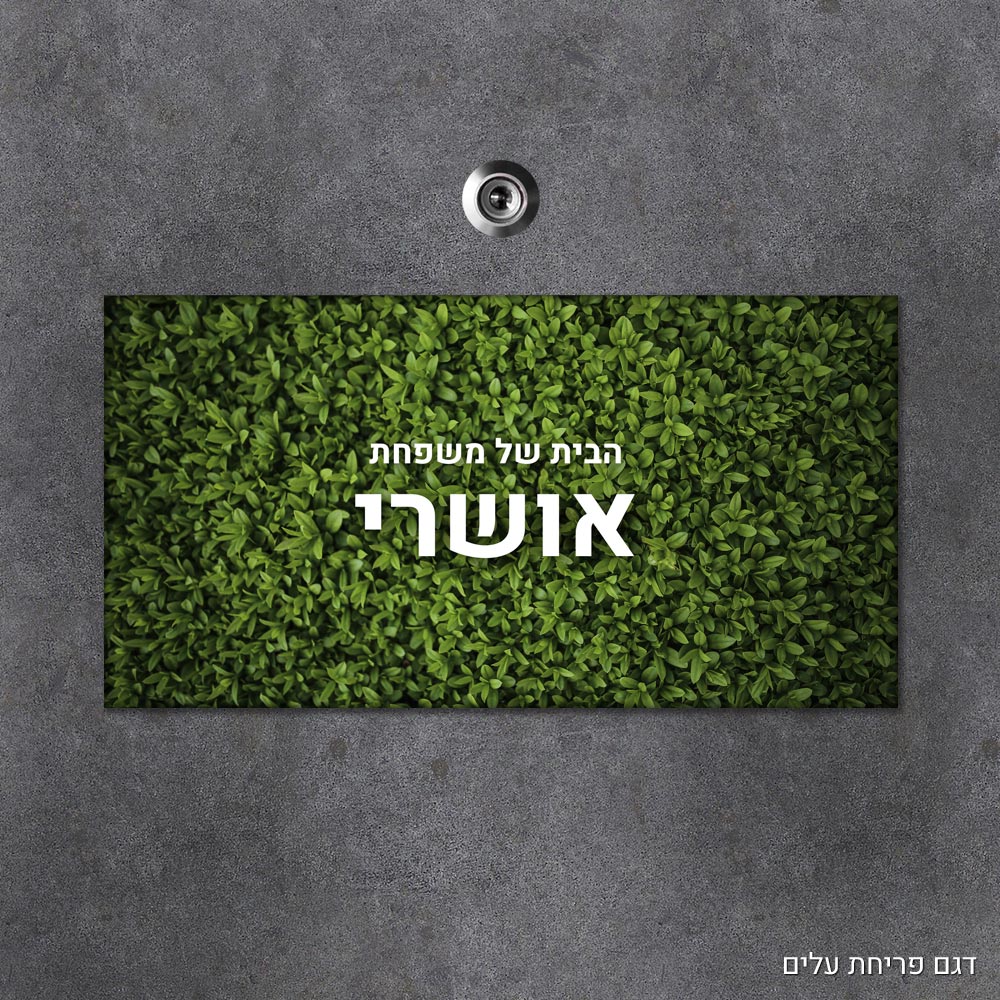 שלט עץ מלבני מעוצב לדלת הבית בכיתוב אישי - דגם פריחת העלים - Baby Coupon