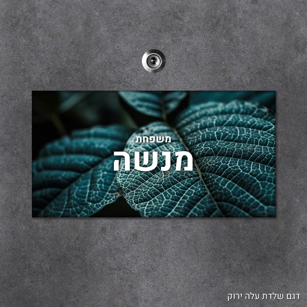 שלט עץ מלבני מעוצב לדלת הבית בכיתוב אישי - דגם שלדת עלה ירוק - Baby Coupon